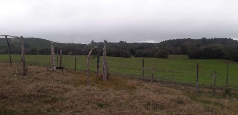 Sítio no bairro Interior