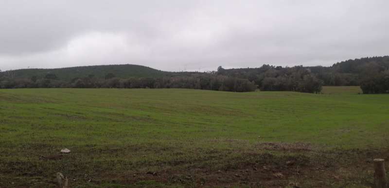 Sítio no bairro Interior