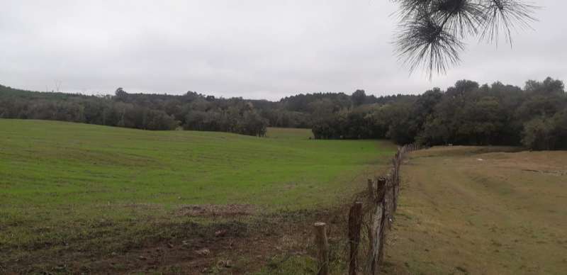 Sítio no bairro Interior