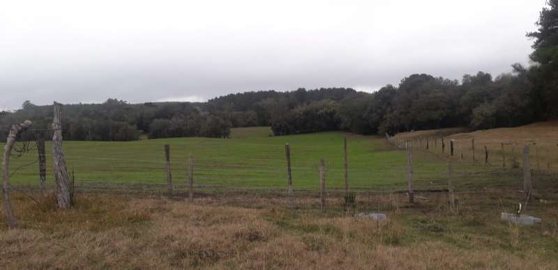 Sítio no bairro Interior