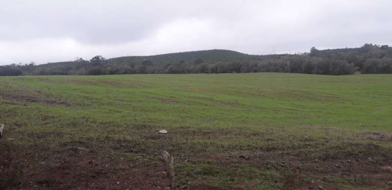 Sítio no bairro Interior