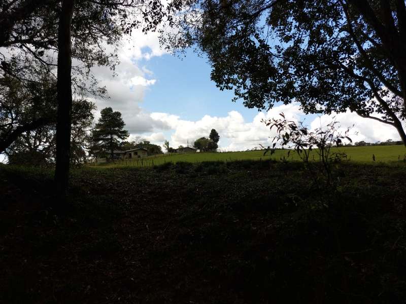 Sítio no bairro Interior