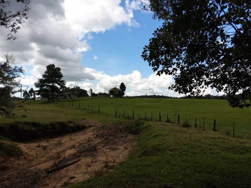 Sítio no bairro Interior