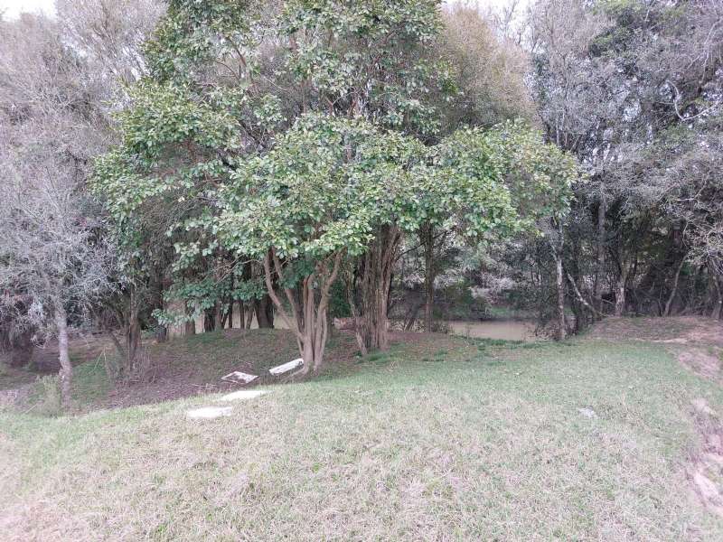 Sítio no bairro Interior