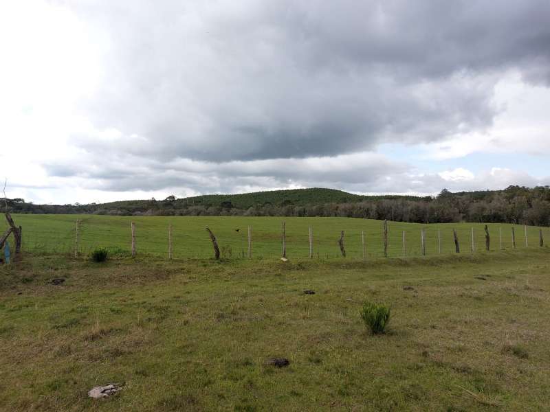 Sítio no bairro Interior