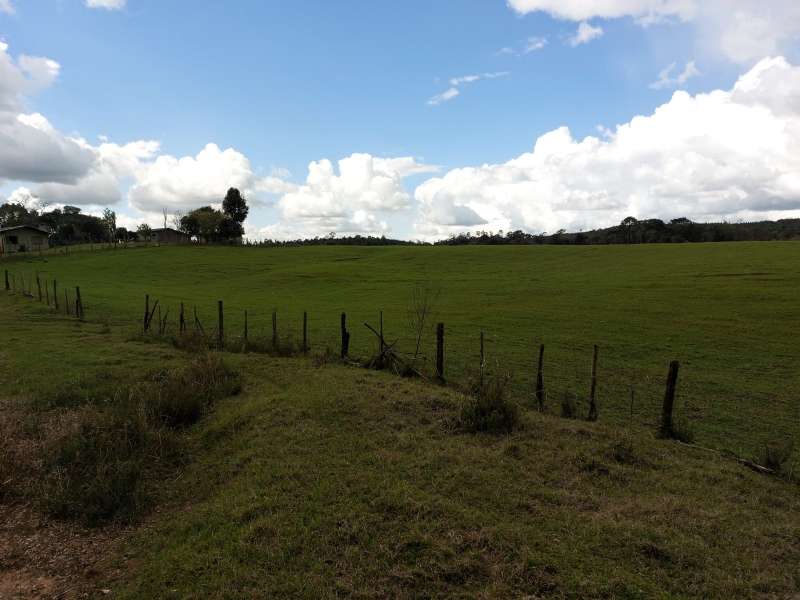 Sítio no bairro Interior