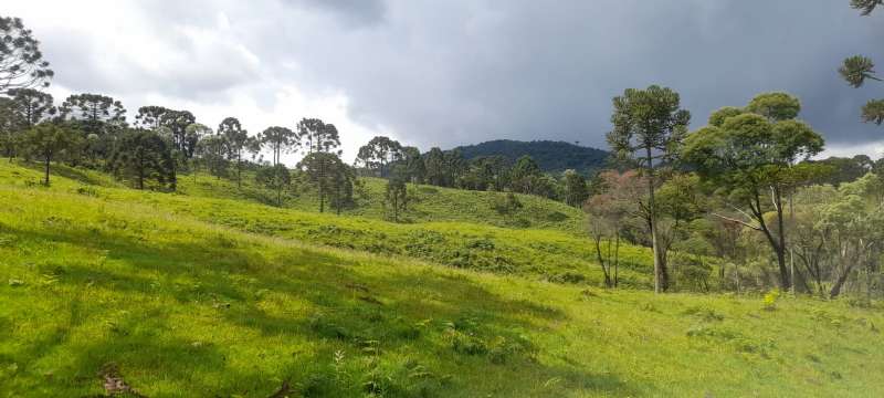 Sítio 4 quartos no bairro Interior