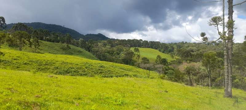 Sítio 4 quartos no bairro Interior
