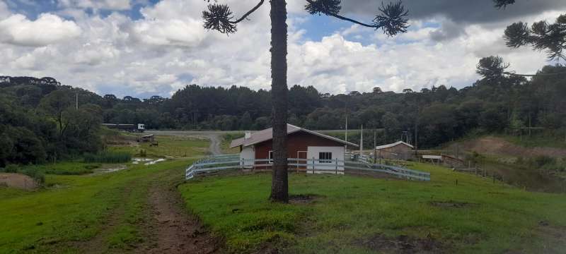 Sítio 4 quartos no bairro Interior