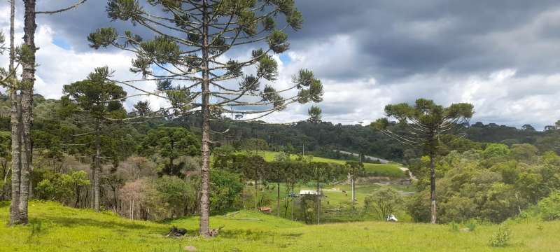 Sítio 4 quartos no bairro Interior