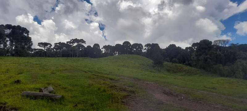 Sítio 4 quartos no bairro Interior