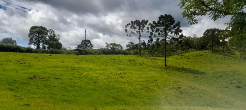 Sítio 4 quartos no bairro Interior