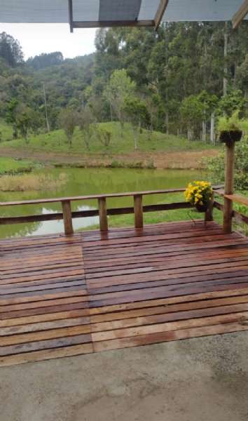 Sítio 4 quartos no bairro Centro