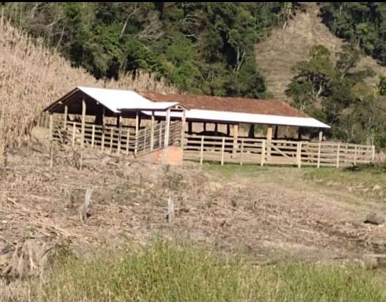 Sítio 4 quartos no bairro Centro
