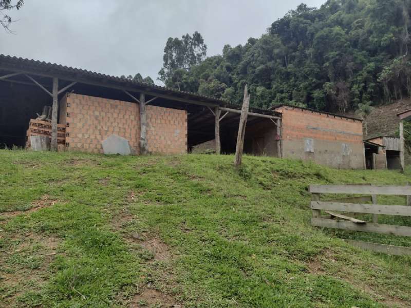 Sítio 4 quartos no bairro Centro