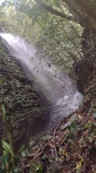 Sítio 4 quartos no bairro Centro