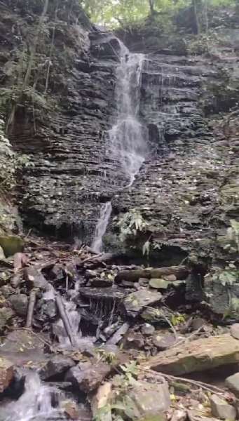 Sítio 4 quartos no bairro Centro