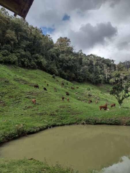 Sítio 4 quartos no bairro Centro