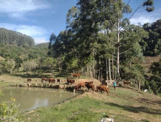 Sítio 4 quartos no bairro Centro