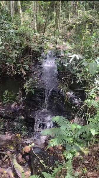 Sítio 4 quartos no bairro Centro