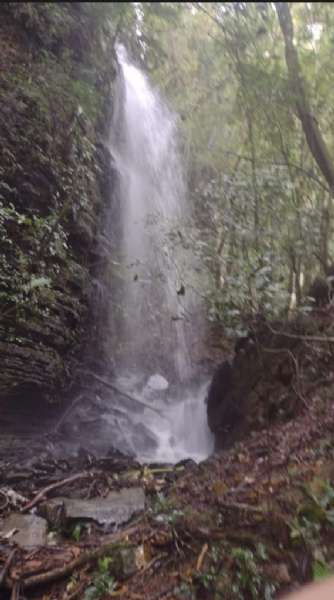 Sítio 4 quartos no bairro Centro