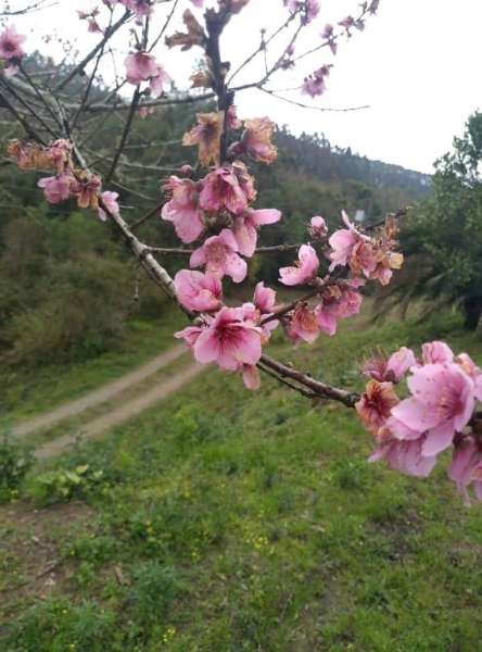 Sítio 4 quartos no bairro Centro