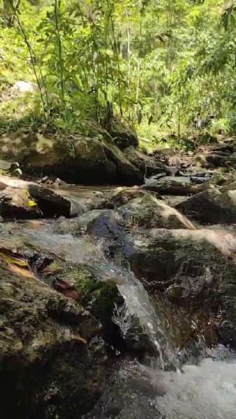 Sítio 4 quartos no bairro Centro