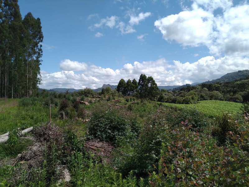 Sítio no bairro Centro