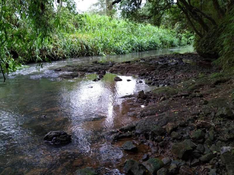 Sítio no bairro Centro