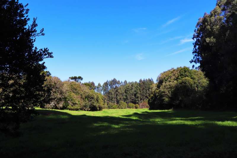 Sítio no bairro Centro