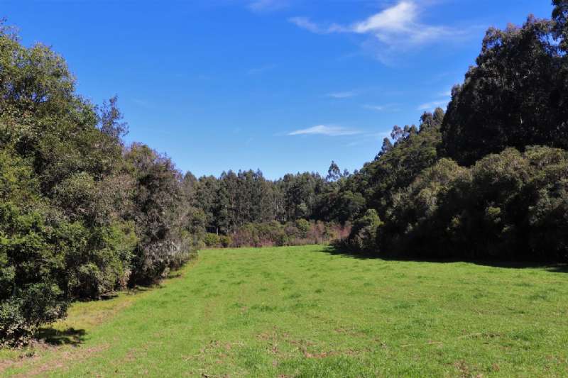 Sítio no bairro Centro