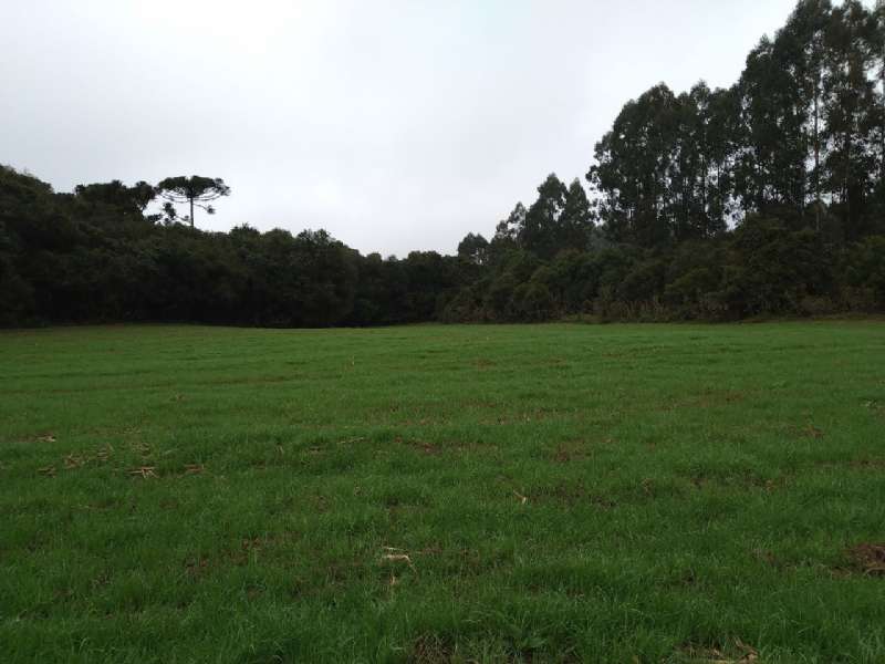 Sítio no bairro Centro