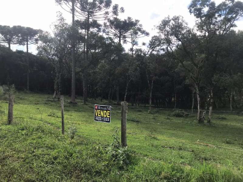 Sítio no bairro Centro