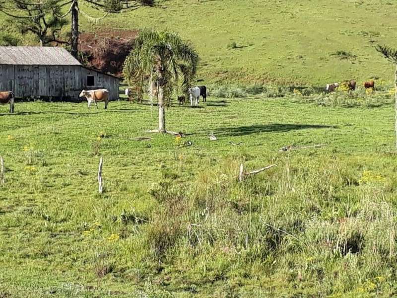 Terreno rural no bairro Centro