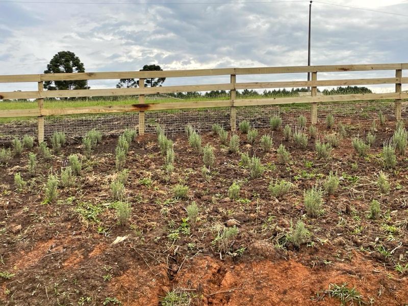 Sítio no bairro Interior