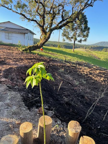 Sítio no bairro Interior