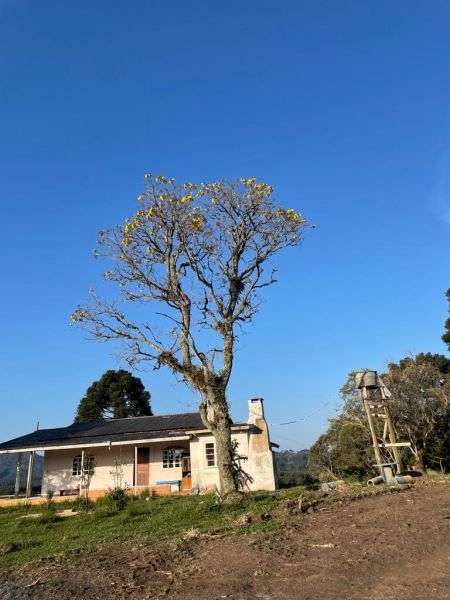 Sítio no bairro Interior