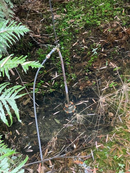 Sítio no bairro Interior