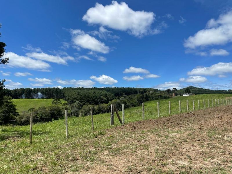 Sítio no bairro Interior