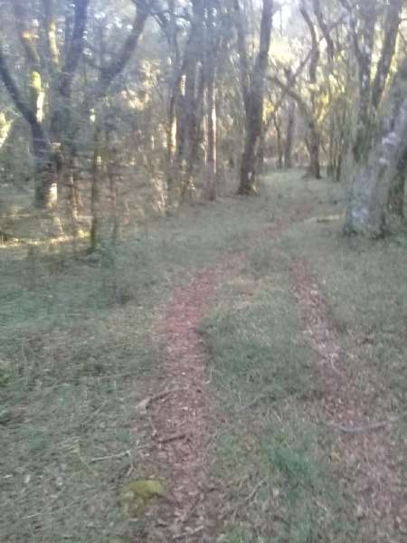 Terreno rural no bairro Centro