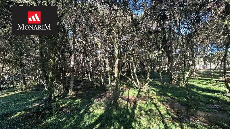 Chácara 3 quartos no bairro vila nevada