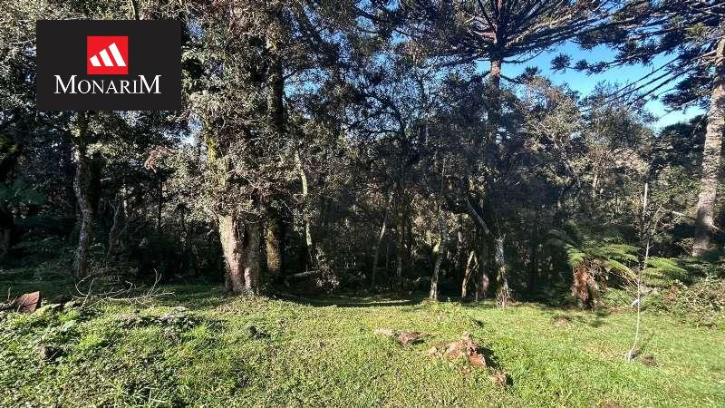 Chácara 3 quartos no bairro vila nevada