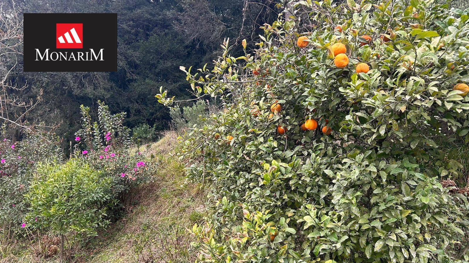 Chácara 6 quartos no bairro Centro