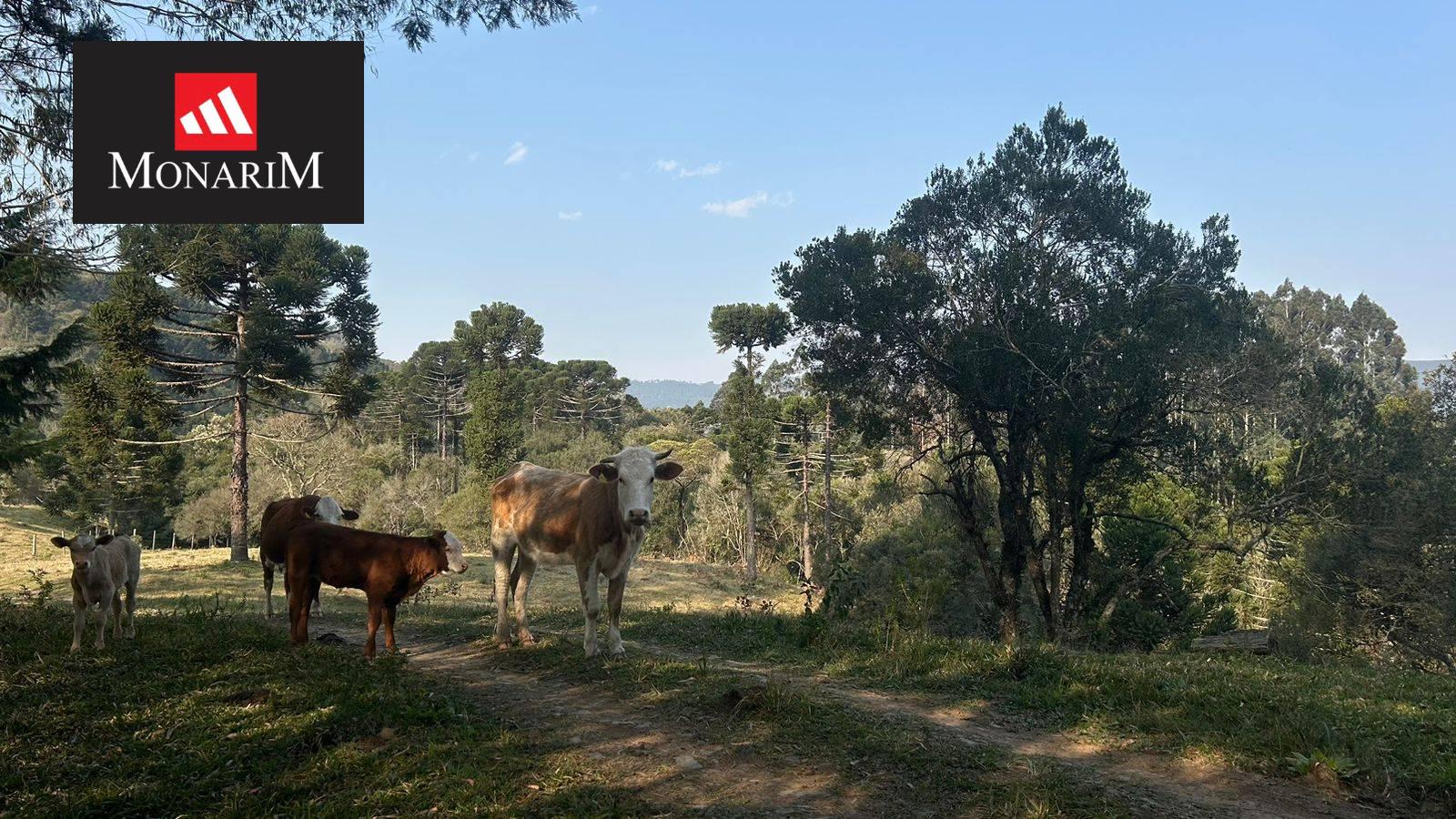 Chácara no bairro Interior