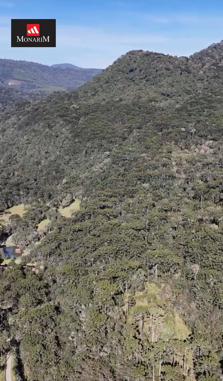 Sítio no bairro Centro