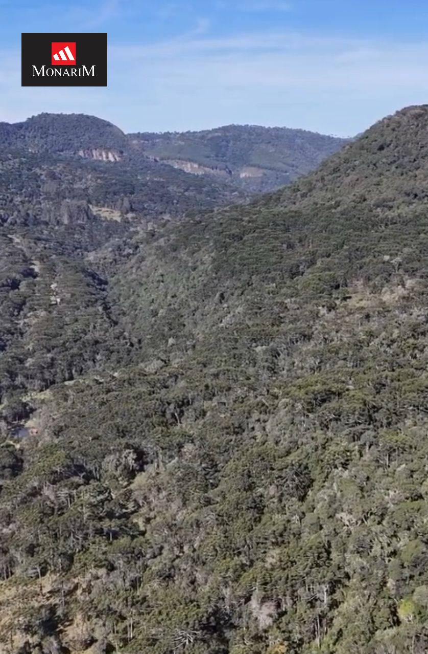 Sítio no bairro Centro