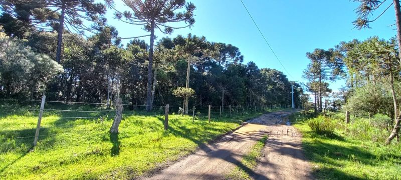 Terreno urbano no bairro Centro