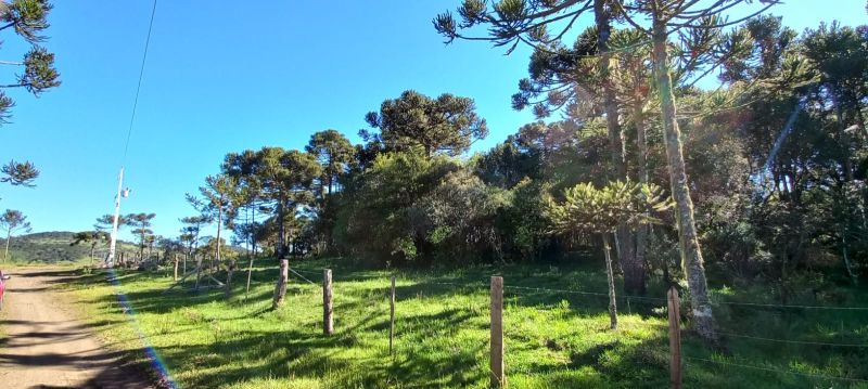 Terreno urbano no bairro Centro