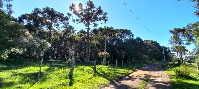 Terreno urbano no bairro Centro