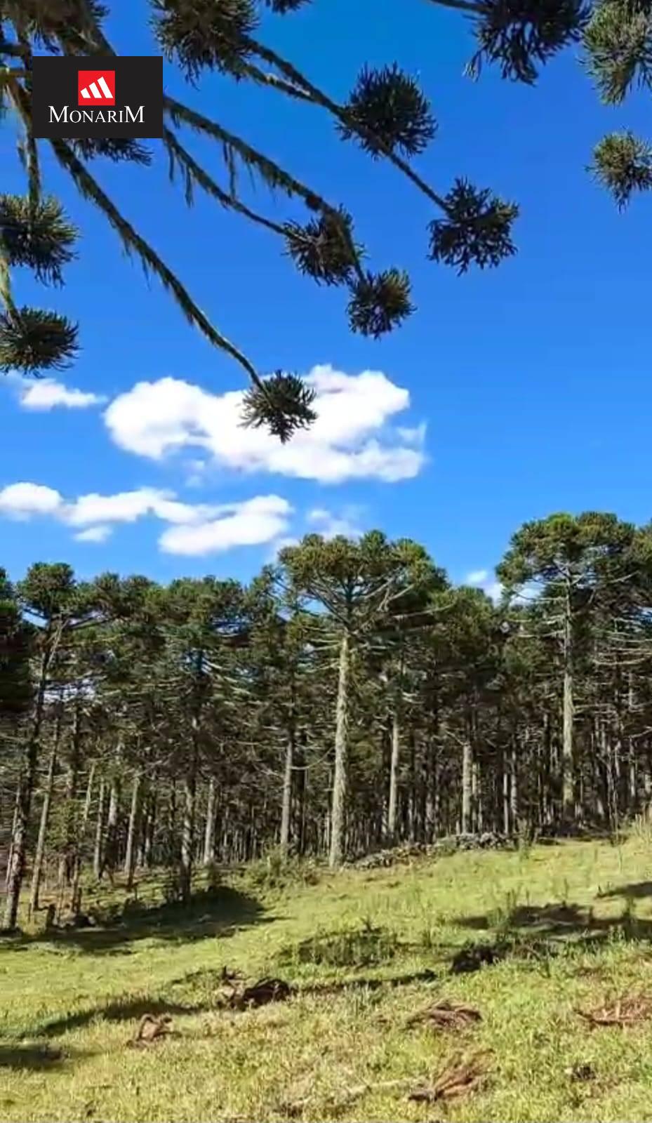 Sítio 5 quartos no bairro Centro